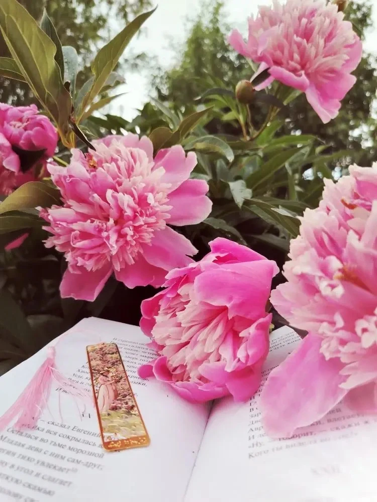 Доброе утро! ☀️
Пусть ваш день начнётся с аромата свежих пионов 🌸, страниц любимой книги 📖 и тёплы