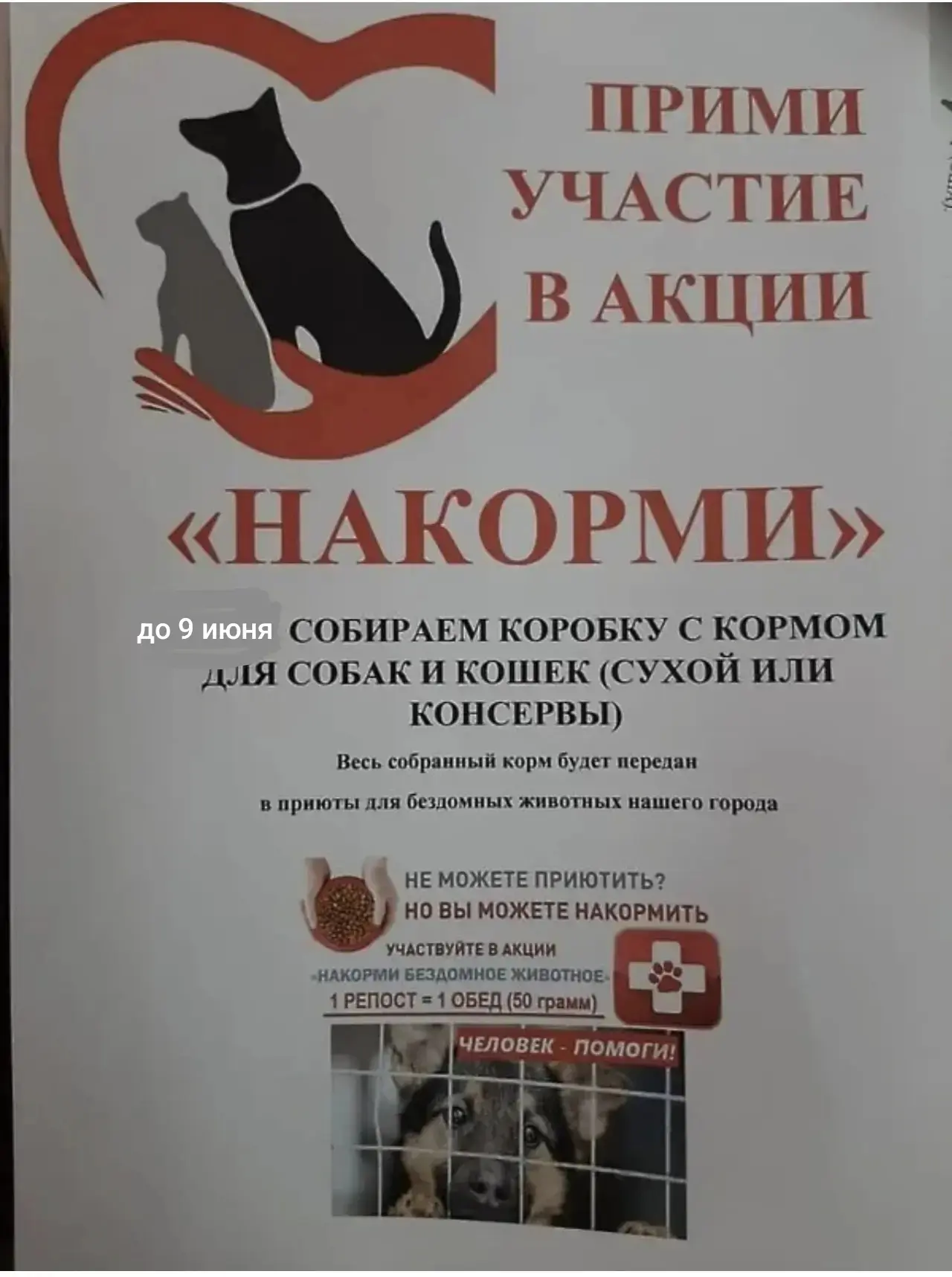 МКУК "Коллонтаевский дом культуры" приглашает всех желающих присоединиться к акции "Нак...