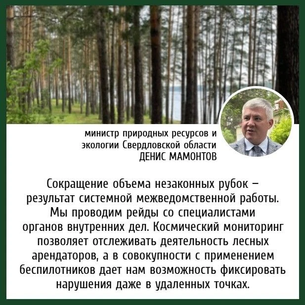 Сохранение лесного фонда — одна из ключевых задач национального проекта „Экологическое благополучие“