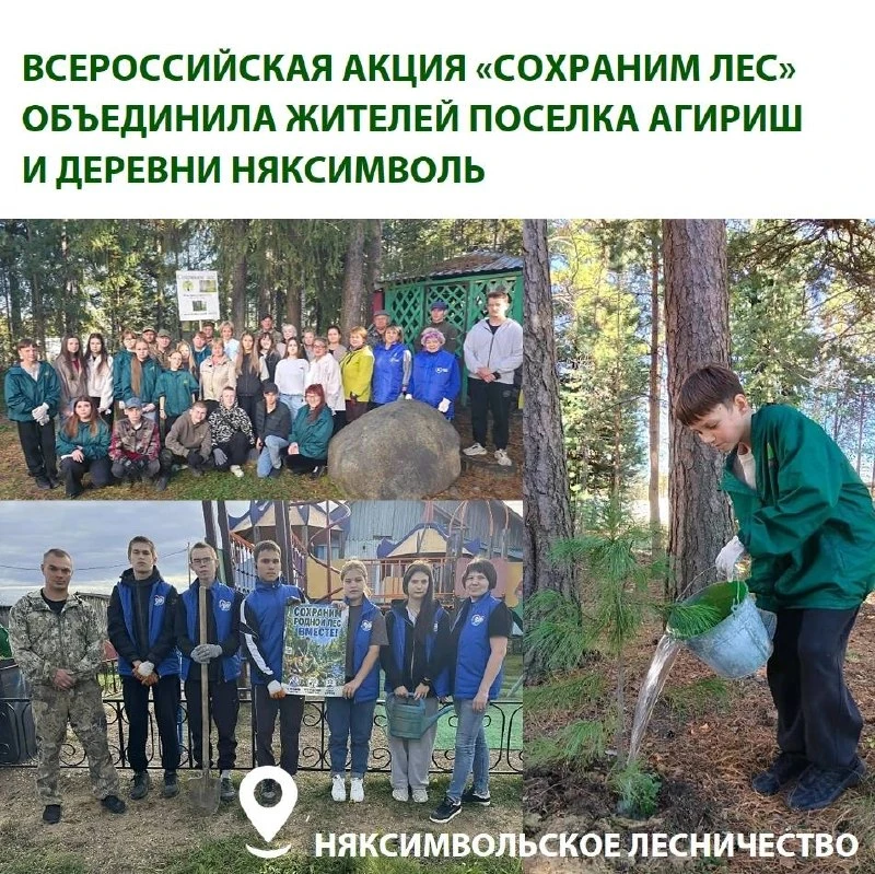 🌱 В Югре заложили новые аллеи и высадили кедры, рябины и голубые ели