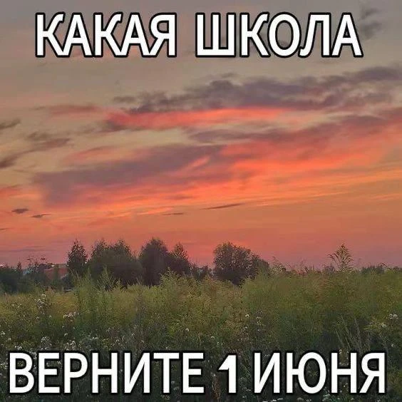 Сегодня LAVINA устраивает вечеринку в честь Дня знаний