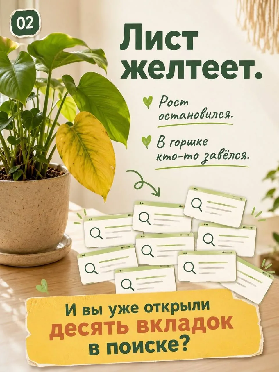 Изображение 2 к публикации «О жизни и растениях | Дом соломинки»