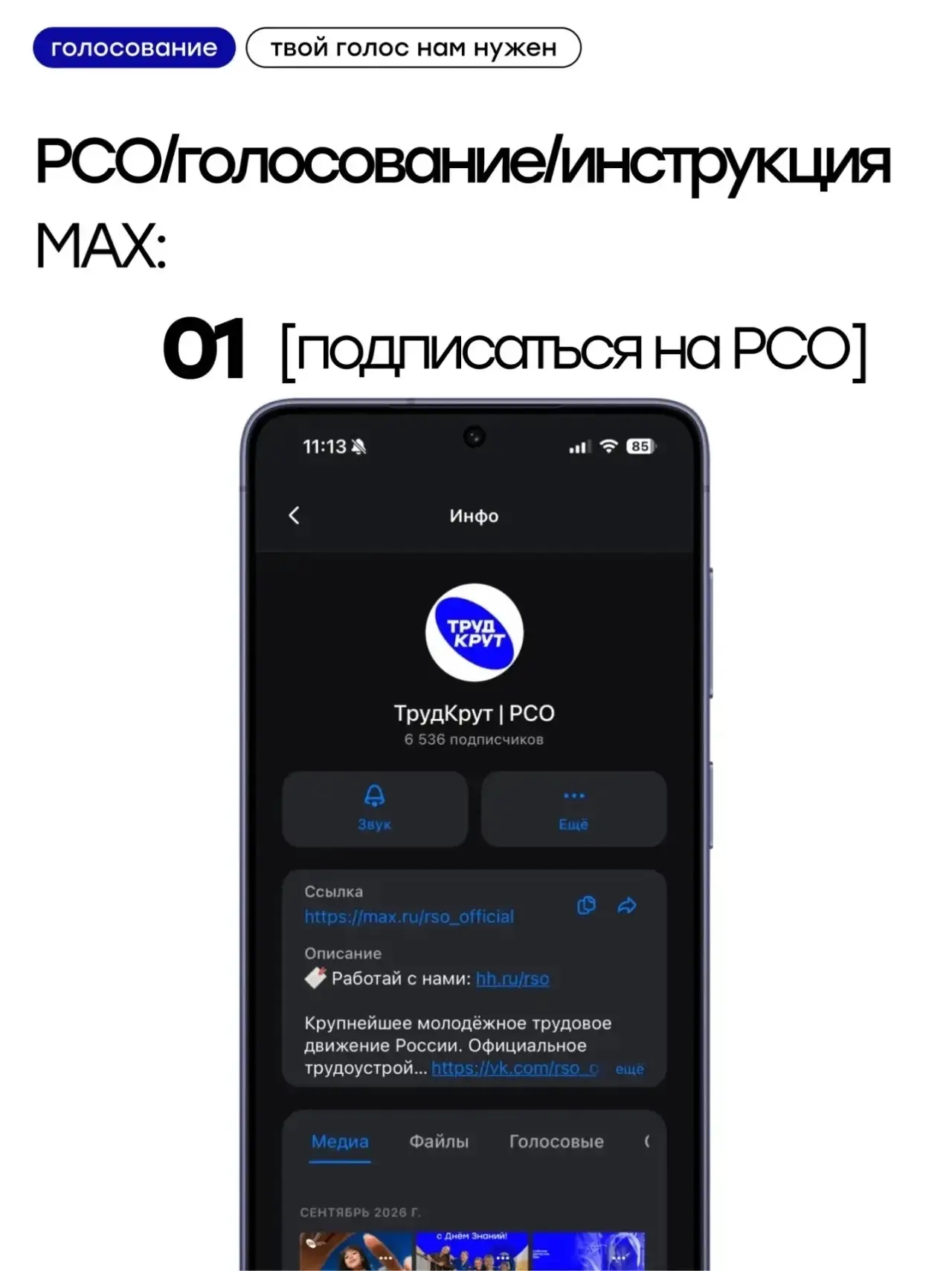 Голосование за лучший регион РСО в MAX