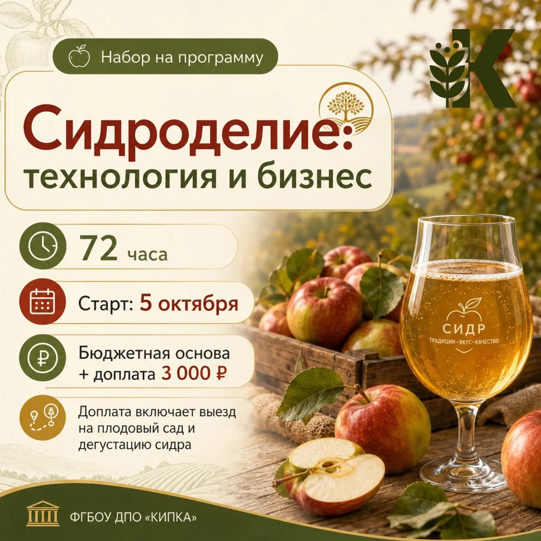 🍎 Из яблока в качественный сидр