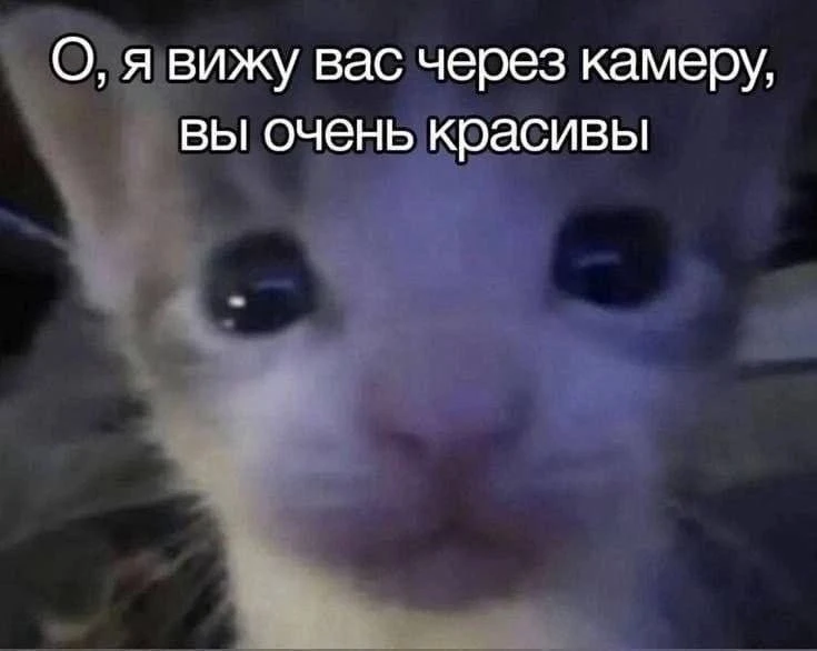 ПЕРВЫЙ МЕМНЫЙ
