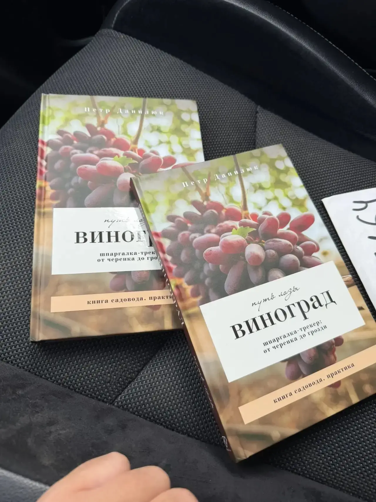 Держу в руках нашу книгу — она такая яркая, с кучей наглядных картинок, что хочется листать и листат