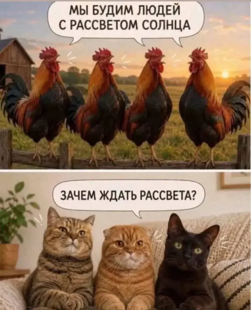 МИНУТКА ЮМОРА 😆