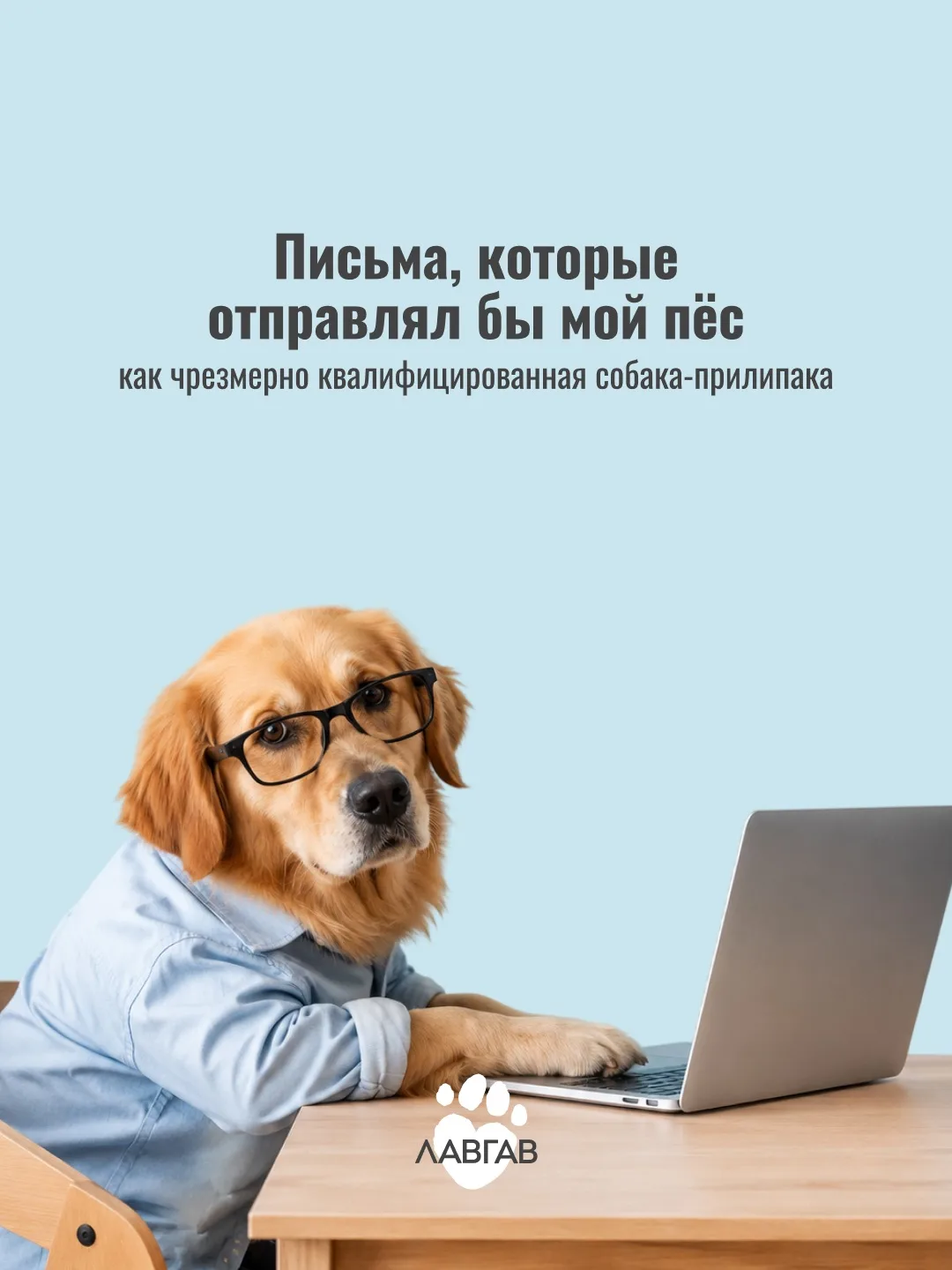 Если у вас дома живет тревожный пирожочек и вы хотите улучшить его жизнь, начните с наших бесплатных