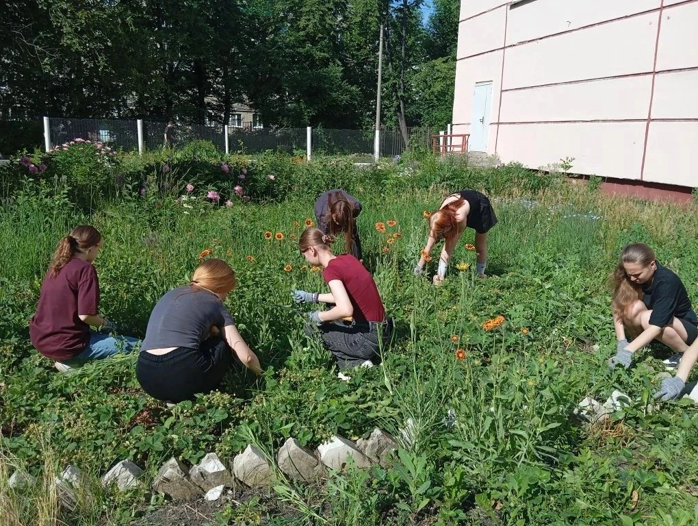 🌱🥕 Пока лето радует солнцем, участники лагеря труда и отдыха «Бригада 25» времени зря не теряют!
Р