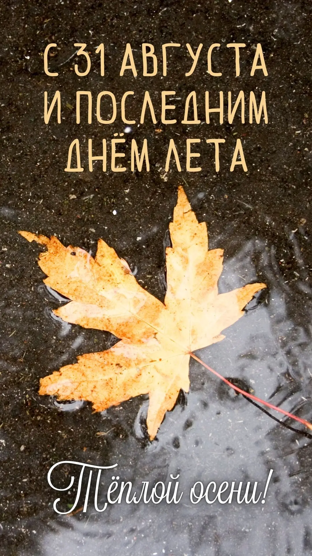 📌 ВНИМАНИЕ! ЗАВТРА 1 СЕНТЯБРЯ!