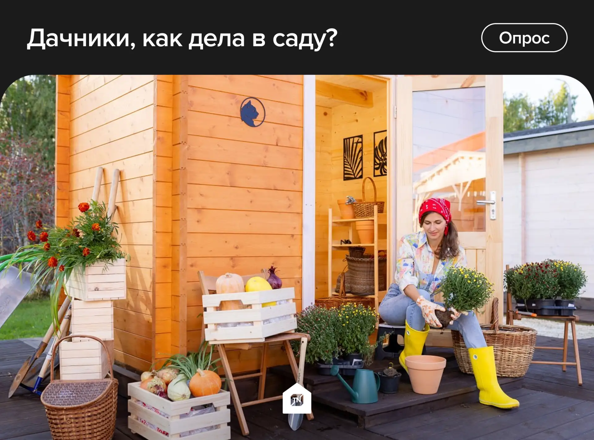 Дачники, как дела в саду?

1. Отлично, собираем урожай
2. Ничего и не садили
3. Просто отдыхаем
4. Ж