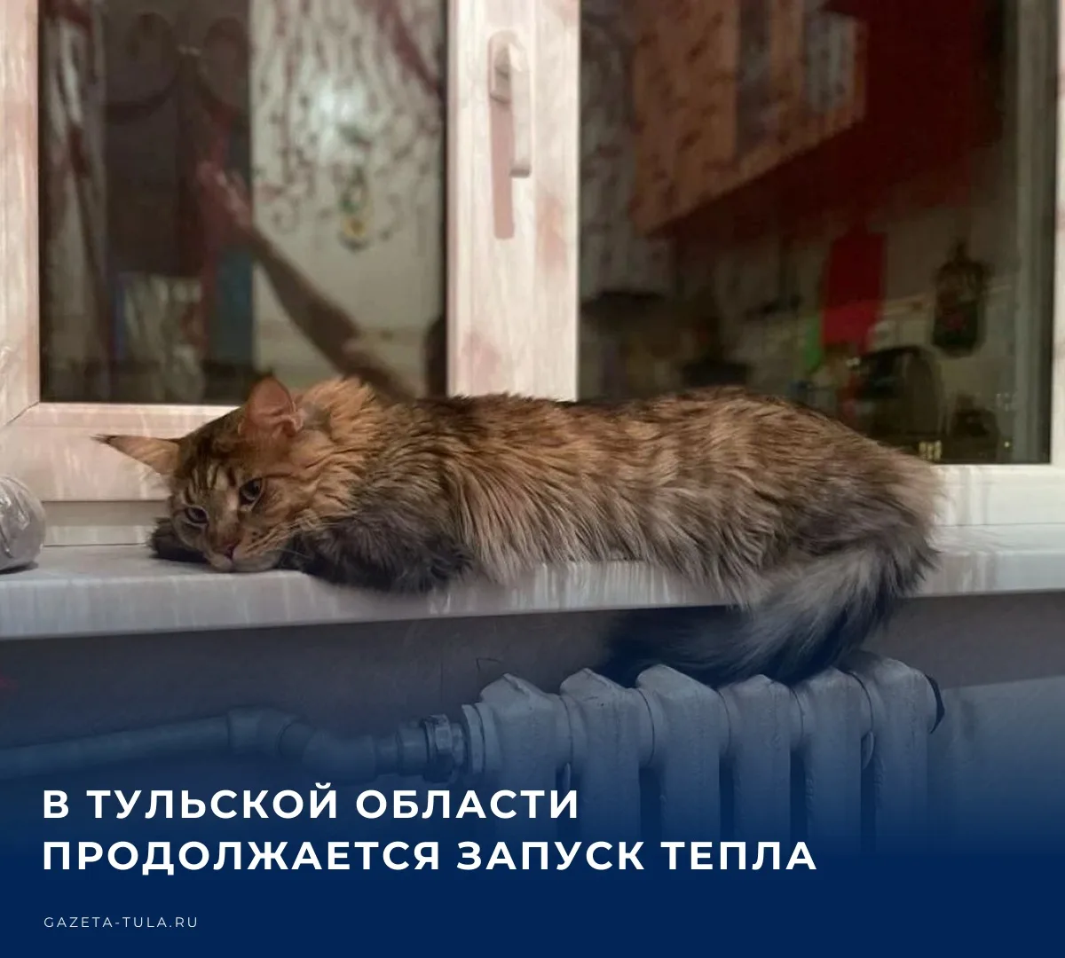 🏠 В Тульской области продолжается запуск тепла в жилых домах и социальных объектах. Об...