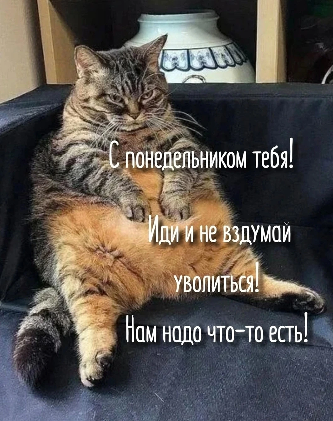 У вас так же?))))