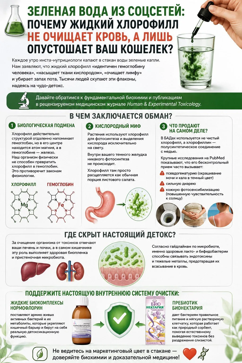 🧪 Зеленая вода из соцсетей: почему жидкий хлорофилл не очищает кровь, а лишь опустошае...