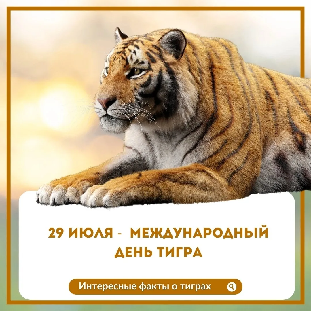 📅 Событие - 29 июля – Международный день тигра.

📋К событию у нас - карточки с интересными фактами