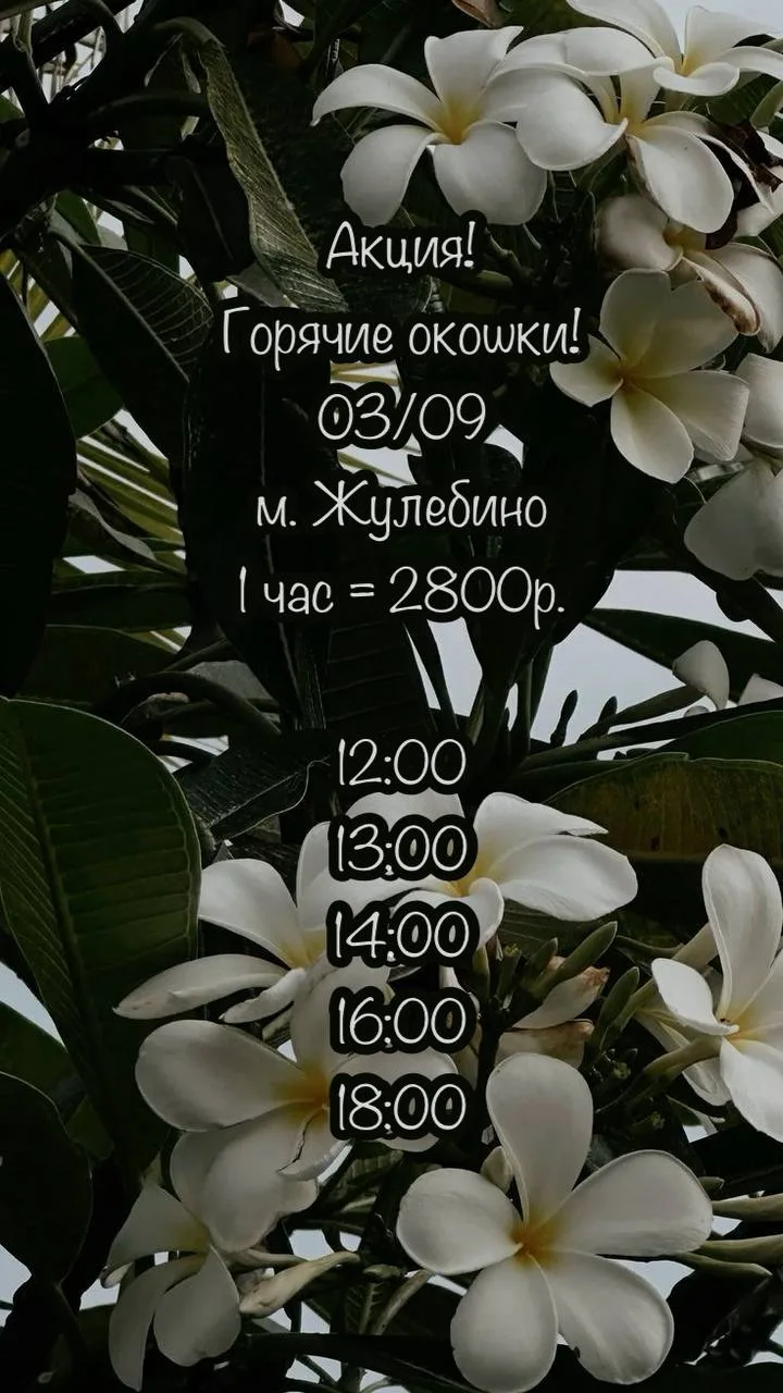 🌿Горячие окошки🌿