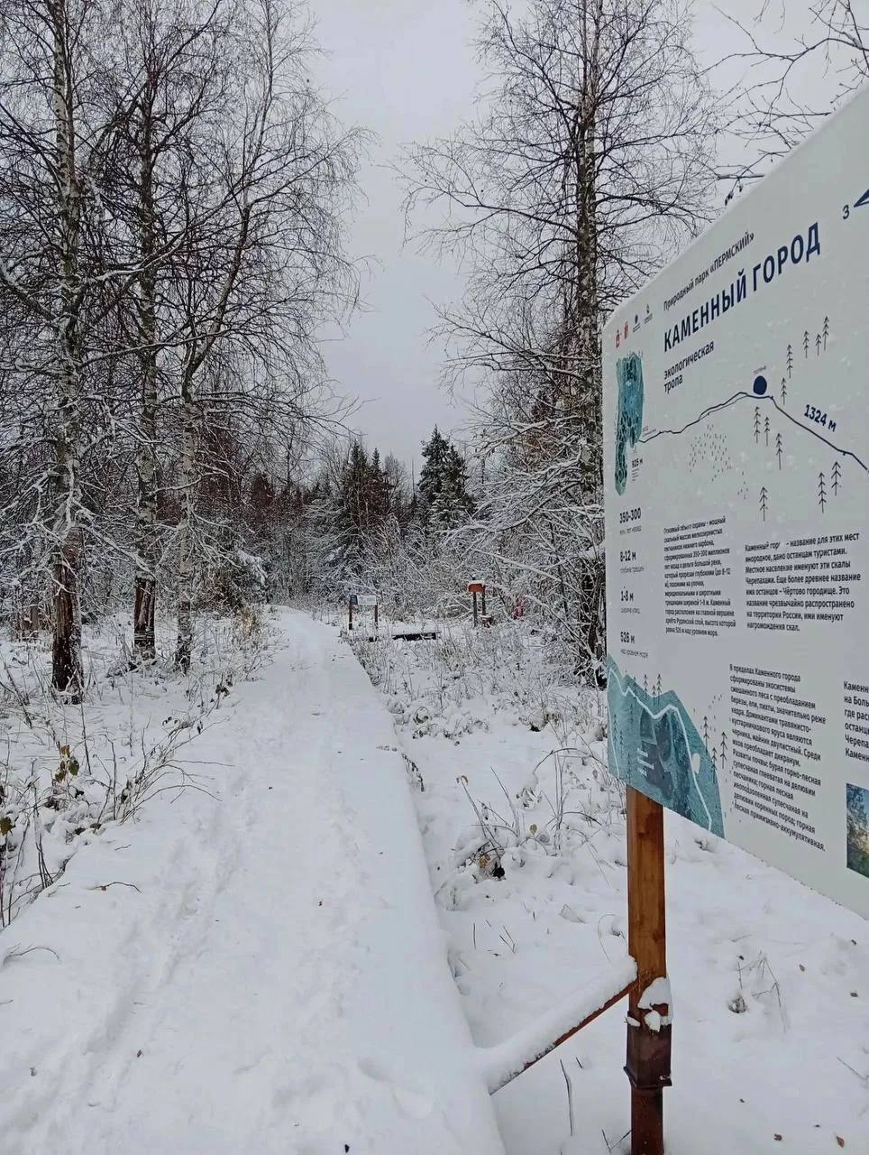 В Каменном городе выпал первый снег ❄️