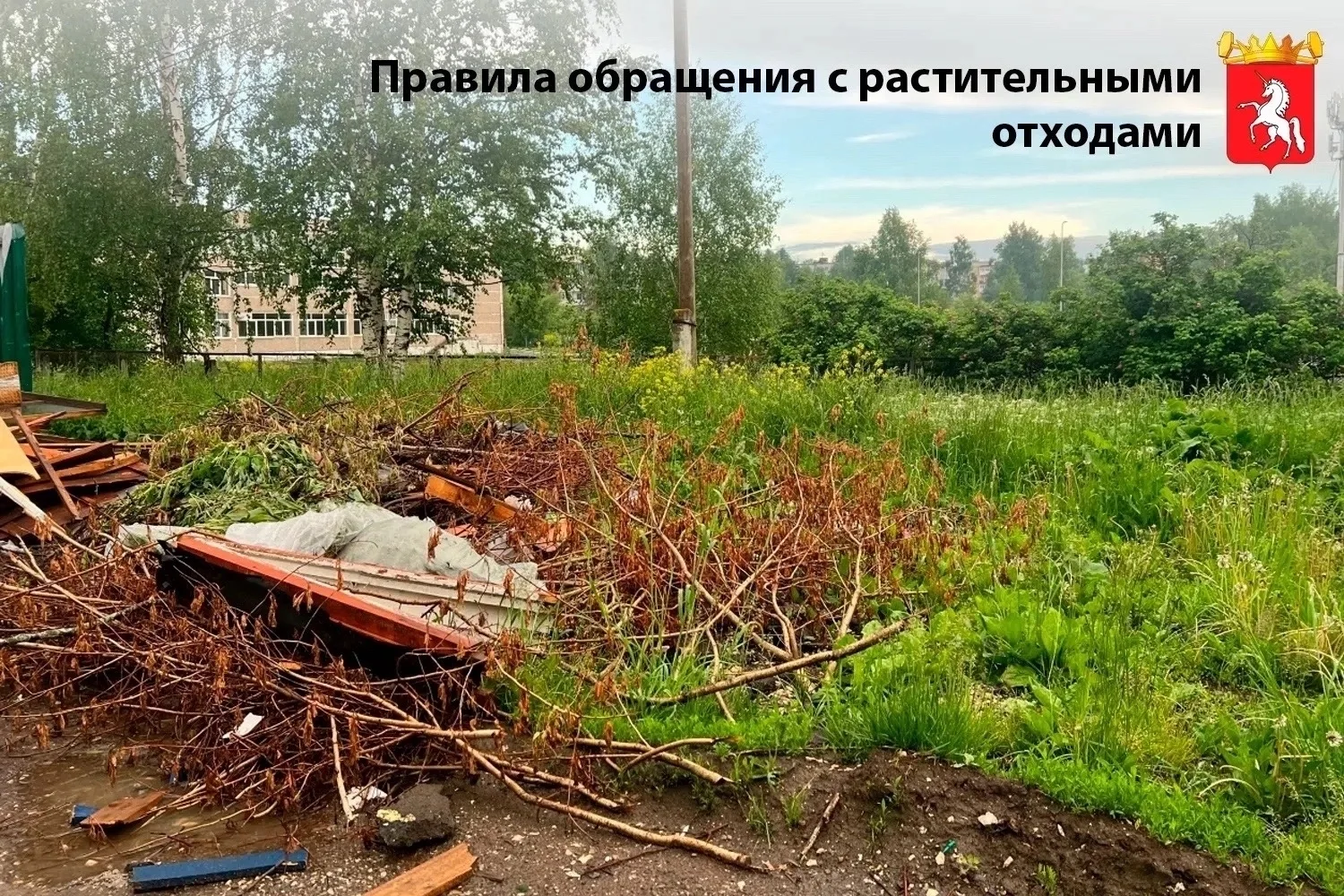 Согласно п. 2.2.10.8 Правил благоустройства, разрешается сжигание сухой травы и иной ра...