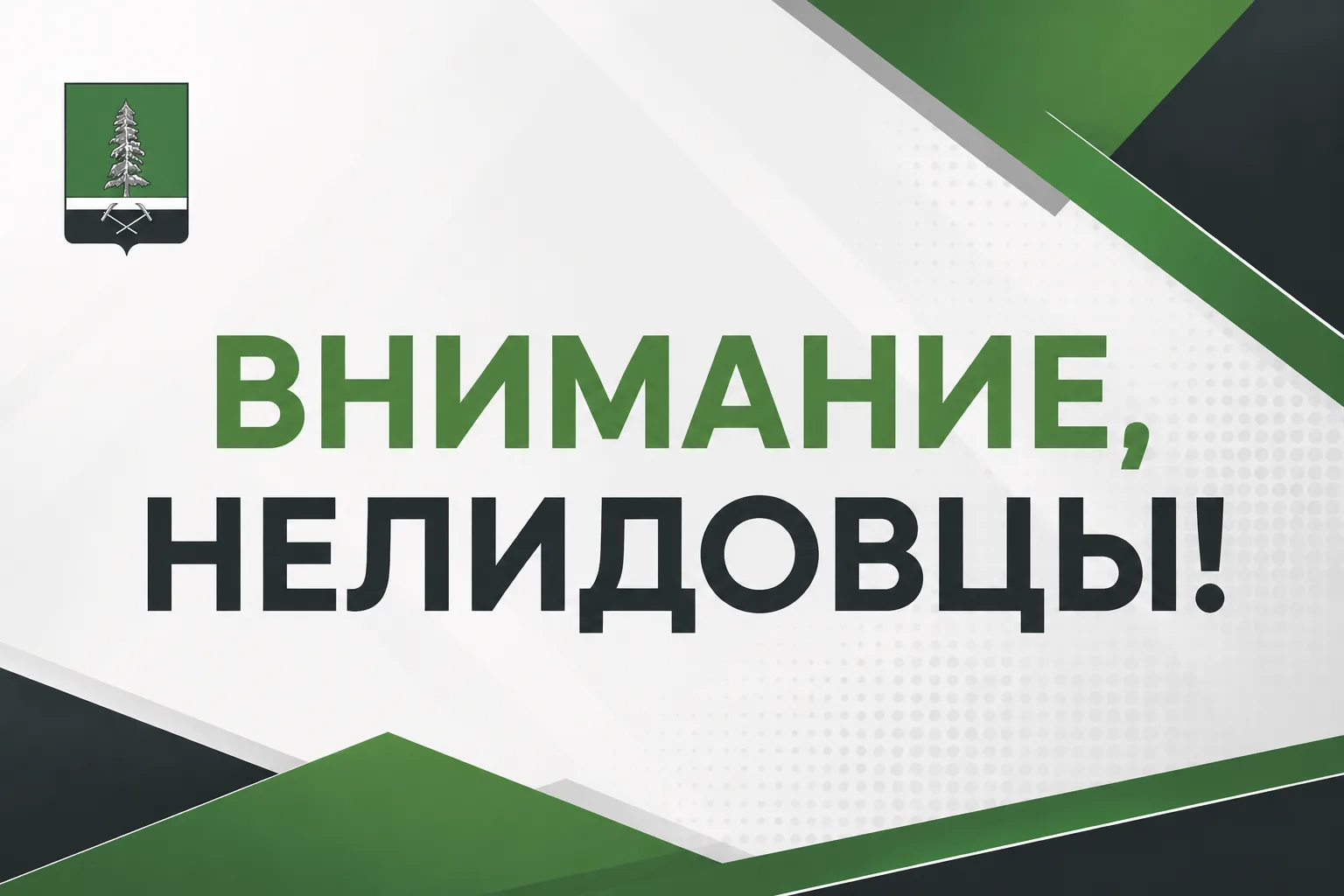 Уважаемые нелидовцы!