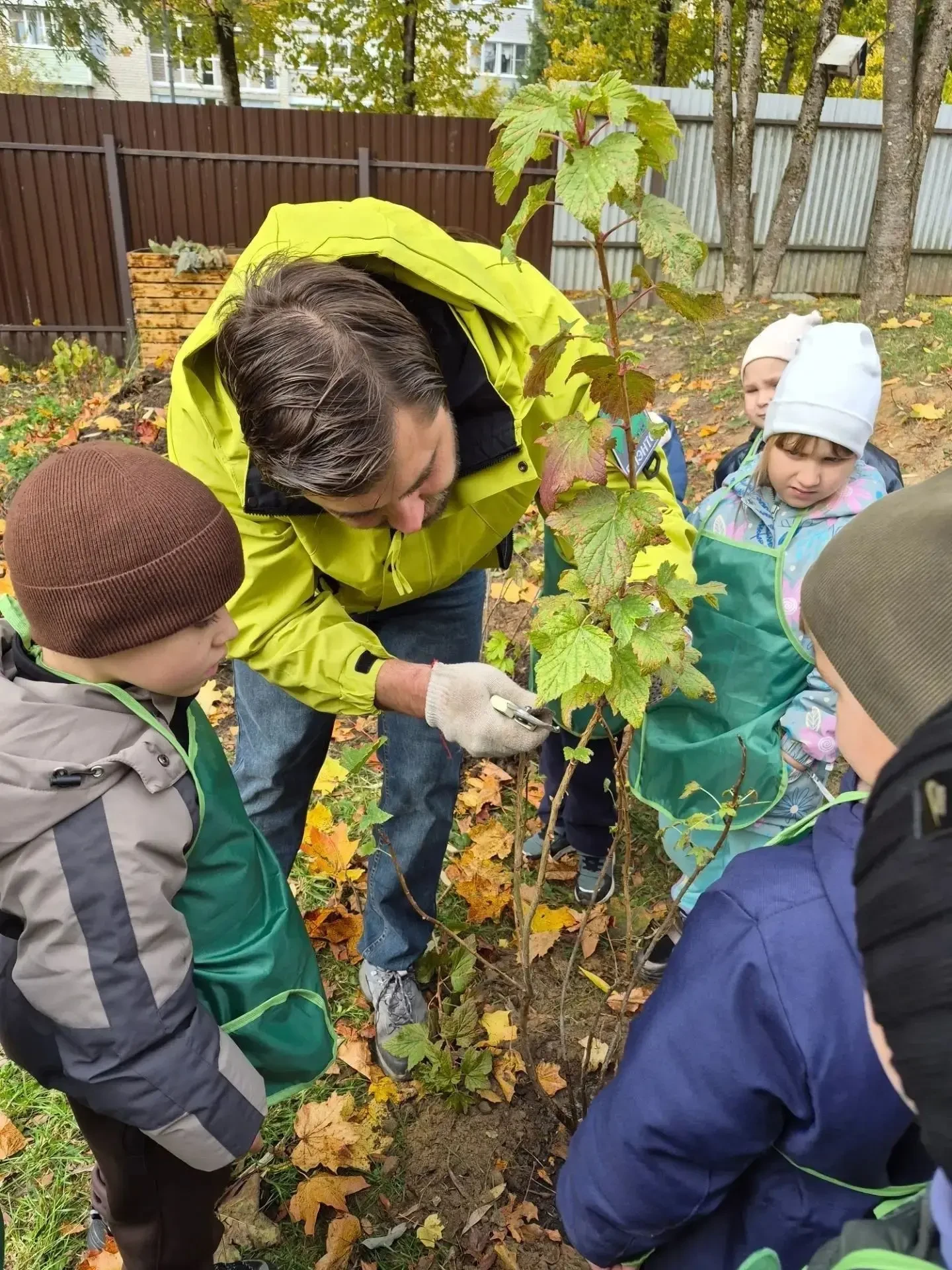 🌱 В детском саду «Солнышко» высадили плодовые кустарники