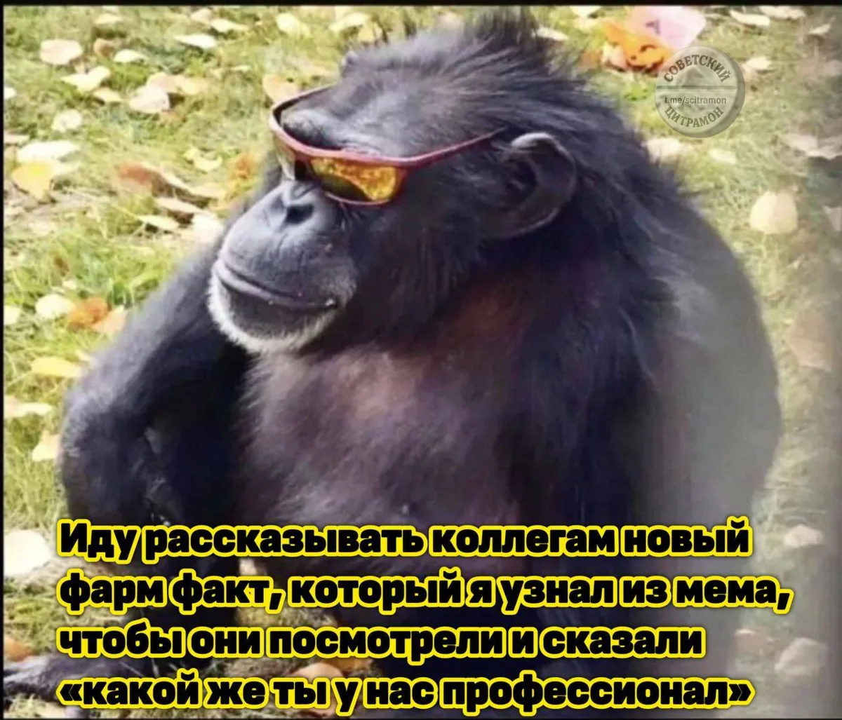Цитрамон. Подписаться