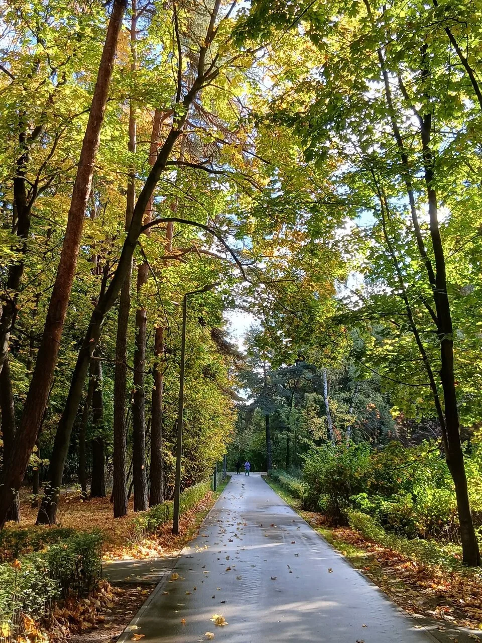 Немного осенней красоты вам от подписчика 🍂