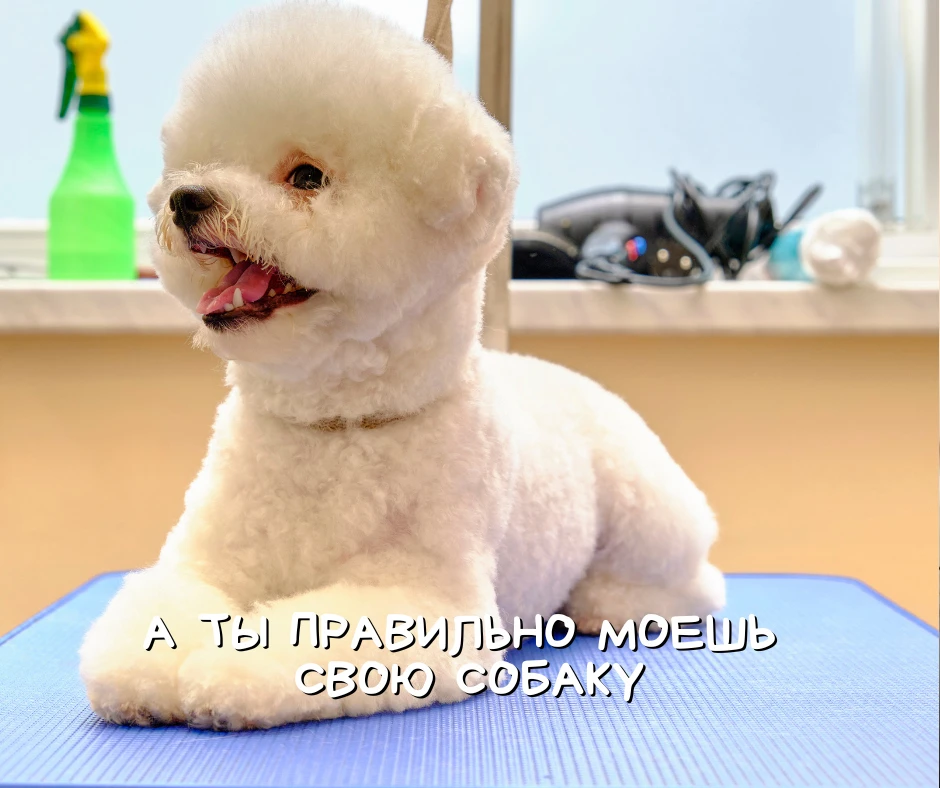 Хотите правду?