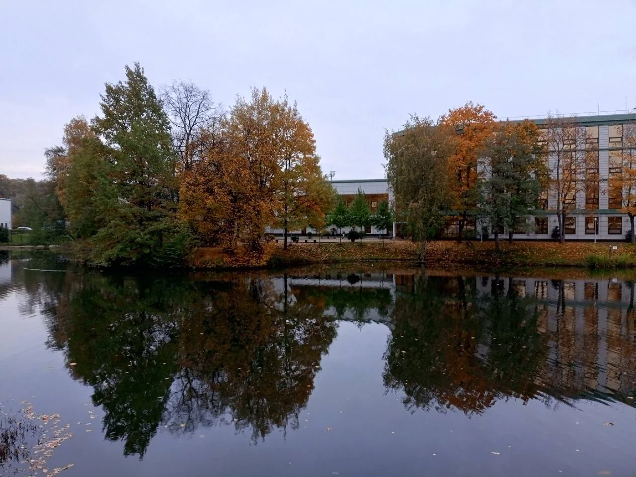 🍁🍂Осенняя прогулка по Удельному парку