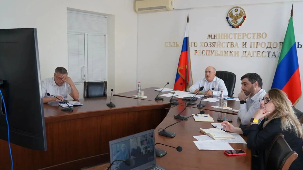 Более 540 гектаров садов заложили в Дагестане