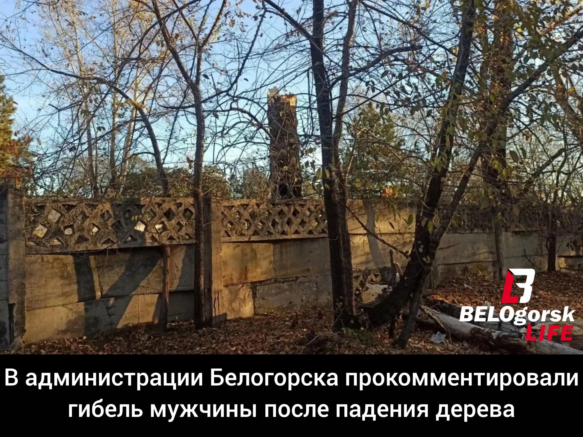 Как пояснили в управлении ГО ЧС и ЕДДС, вечером 6 октября на Белогорск обрушился крепки...