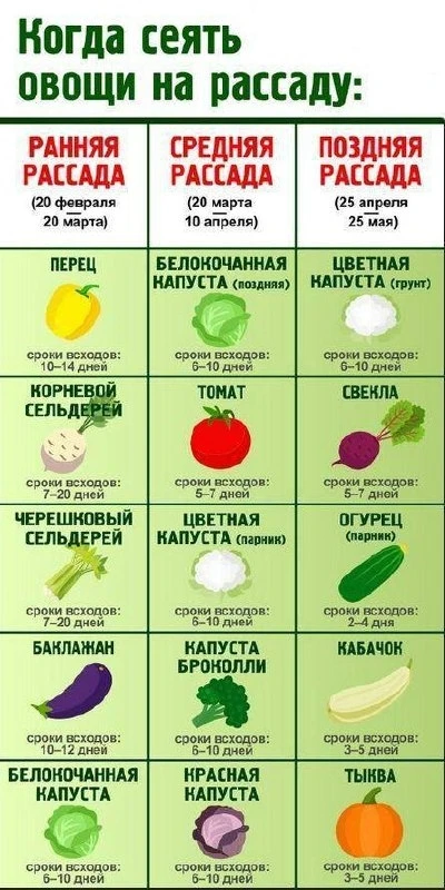 Сохраняем на сезон📝