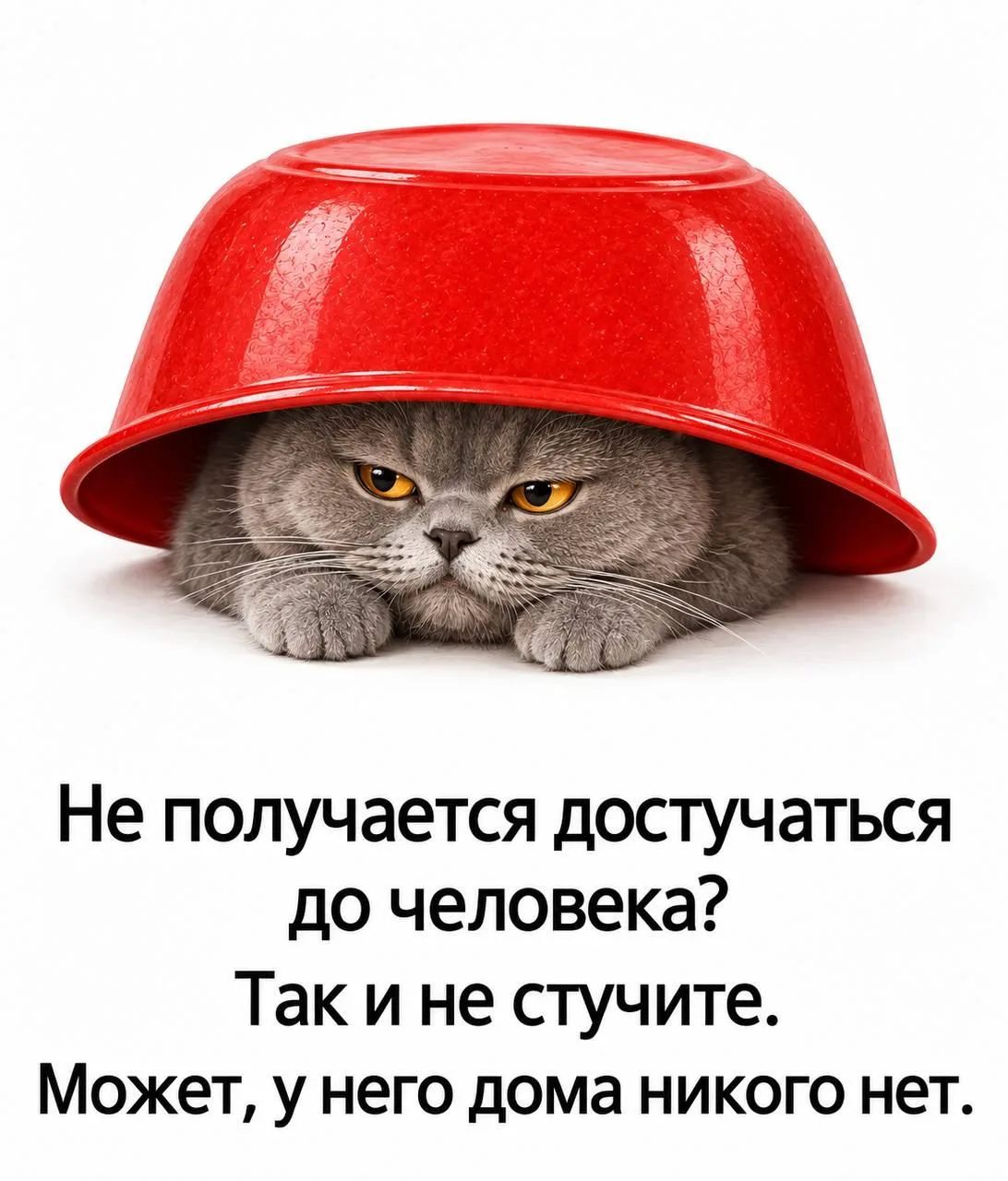 А с Богом иначе 🙏«Просите, и дано будет вам; ищите, и найдёте; стучите, и отворят вам».