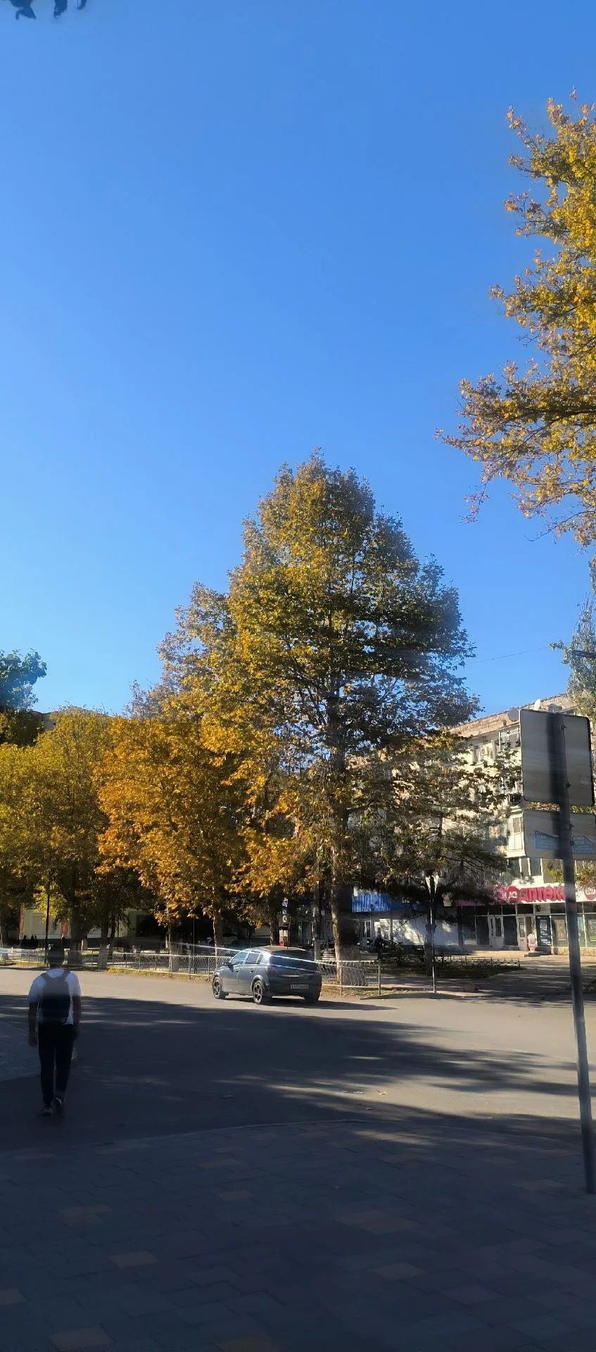 Вот такой осенний вайб  я ловлю  🍂🍁