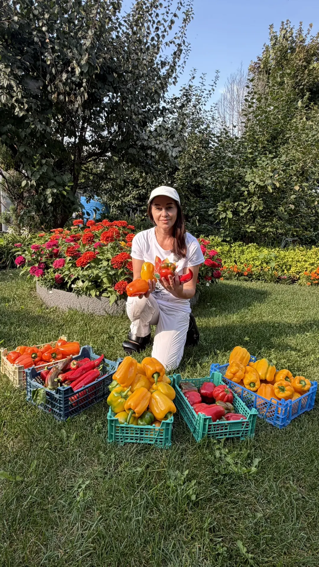 Кожица у этого томата очень тонкая и нежная на вкус, есть пятна на томатах, это солнечн...