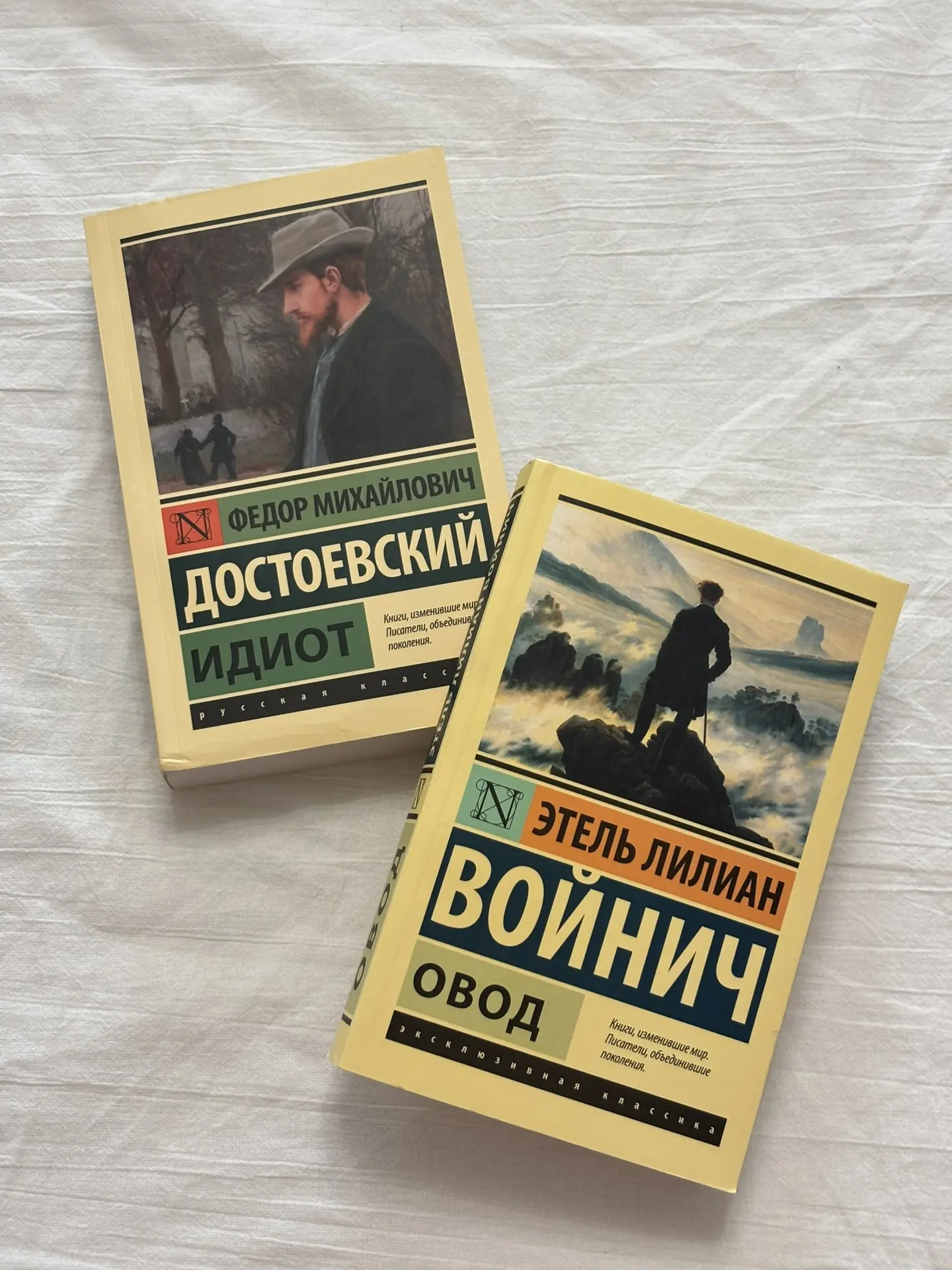 📚Вчера гуляла по Читай-городу и купила себе две книги: «Идиот» Достоевского и «Овод» В...