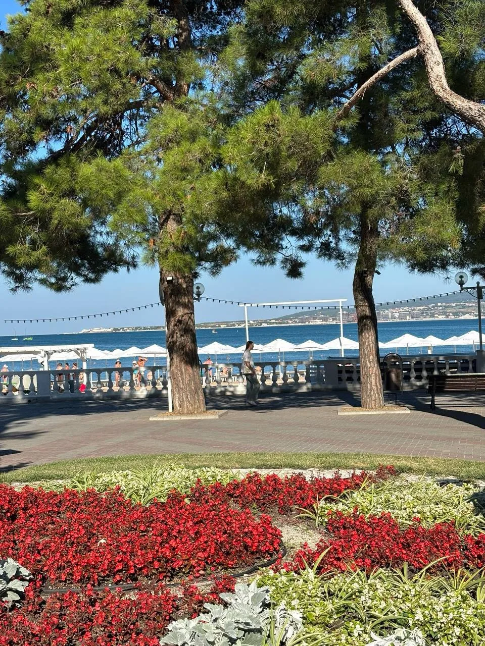 Доброе утро☀️