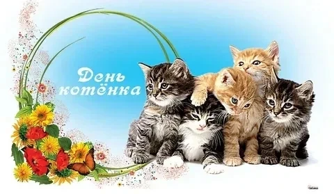 День котёнка: праздник доброты. 

Это не просто повод полюбоваться на пушистых мурлык, но и важный в