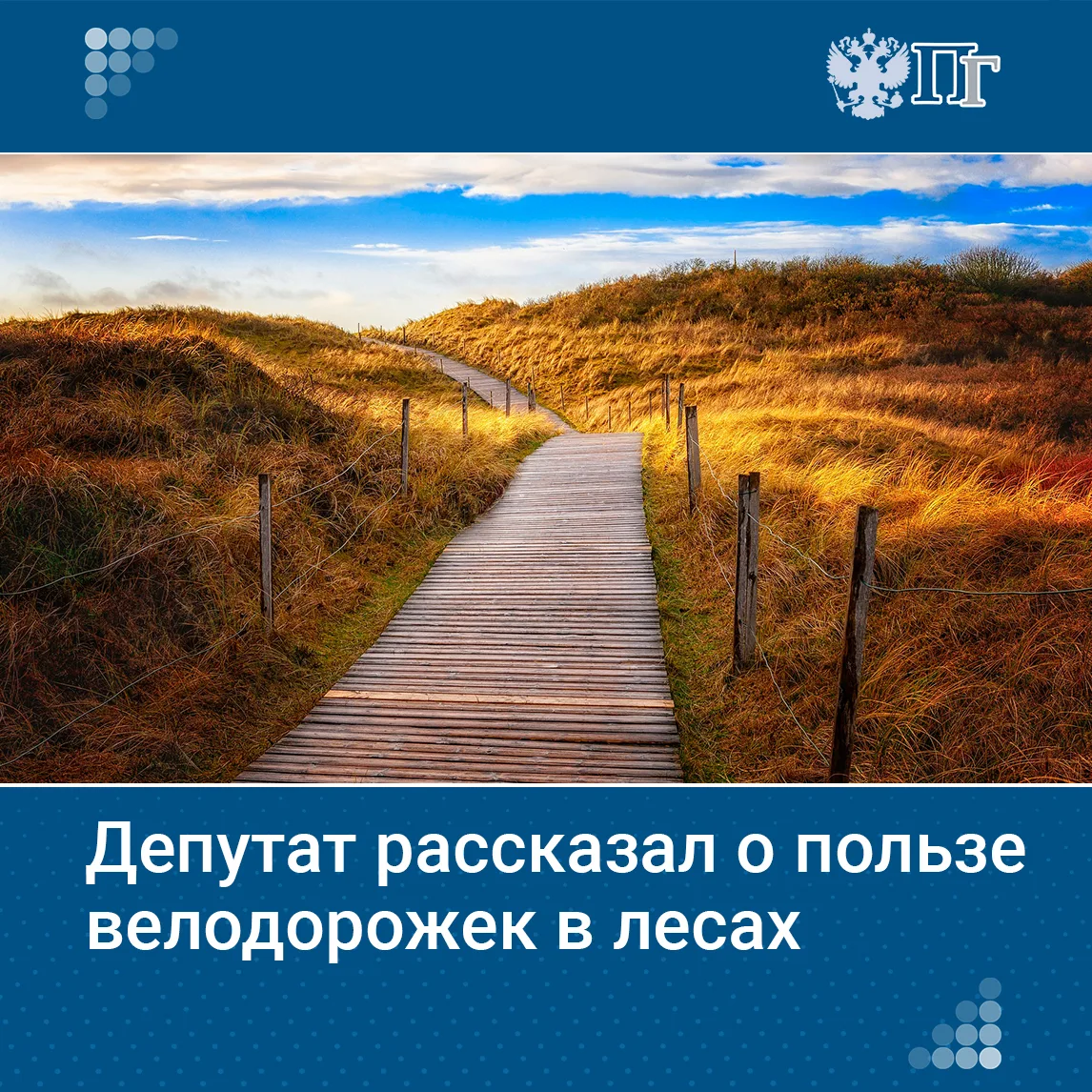 В январе в Госдуму внесли законопроект, предлагающий внести изменения в Лесной кодекс. Эти поправки 