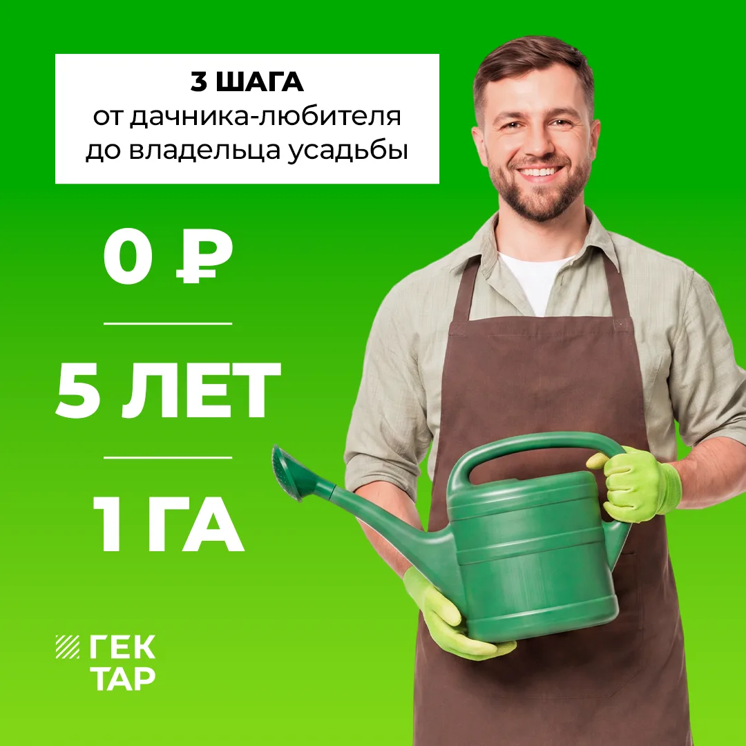 Своя земля — это свобода выбирать и создавать 🌲