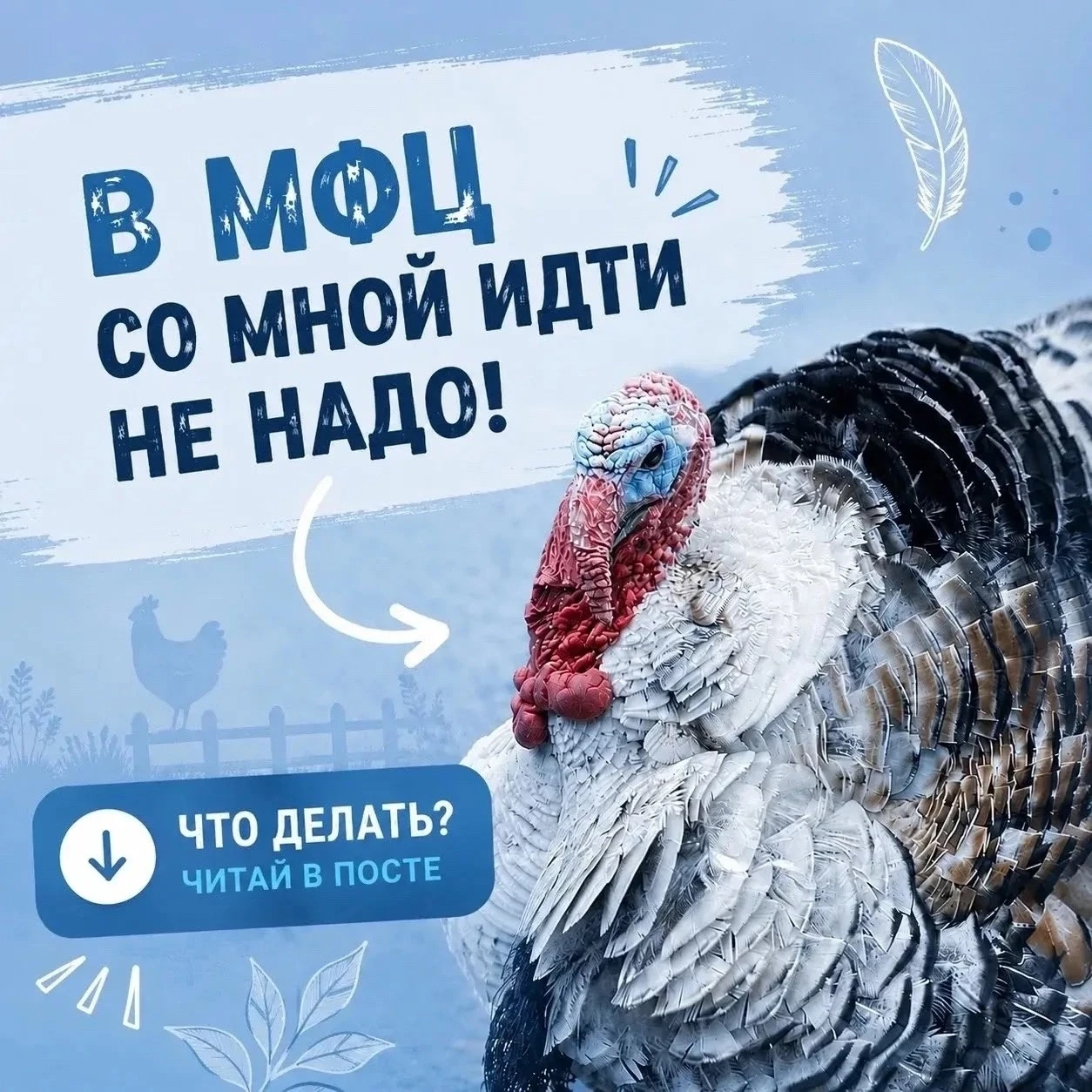 🐔 С 1 сентября 2026 года владельцы личных подсобных хозяйств, которые держат более 10 ...