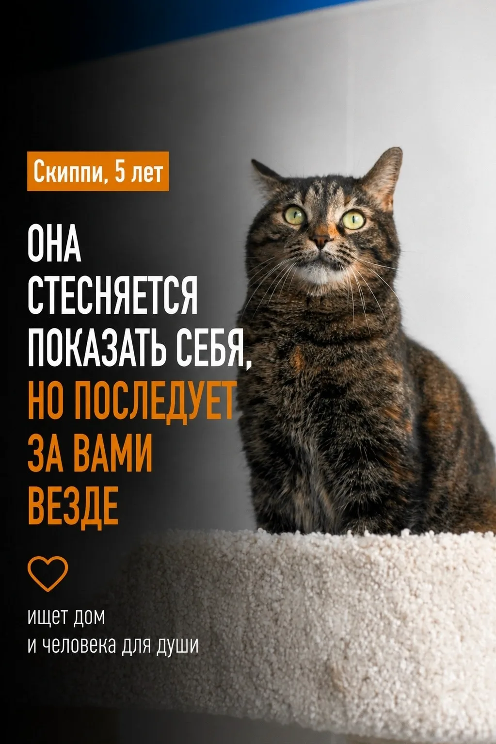 Скиппи с удовольствием станет домашней подругой!
