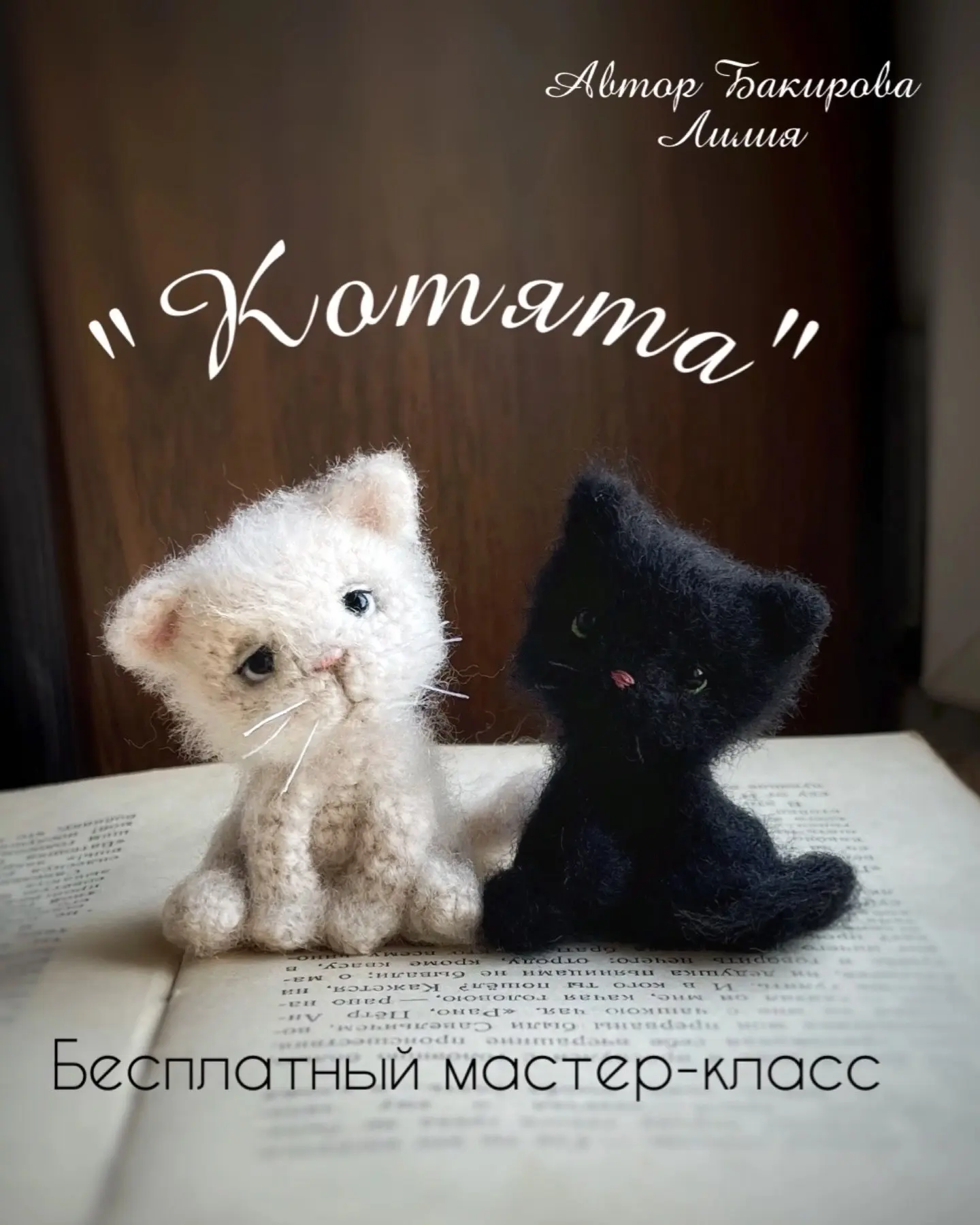 Котята 😻