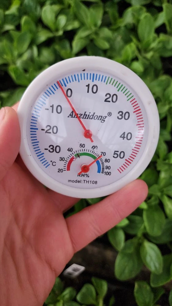Звонок...Как не работает котёл? Насколько холодно в теплицах?🥶   Полный ахтунг и аларм 🔔🔔🔔 бросив ут