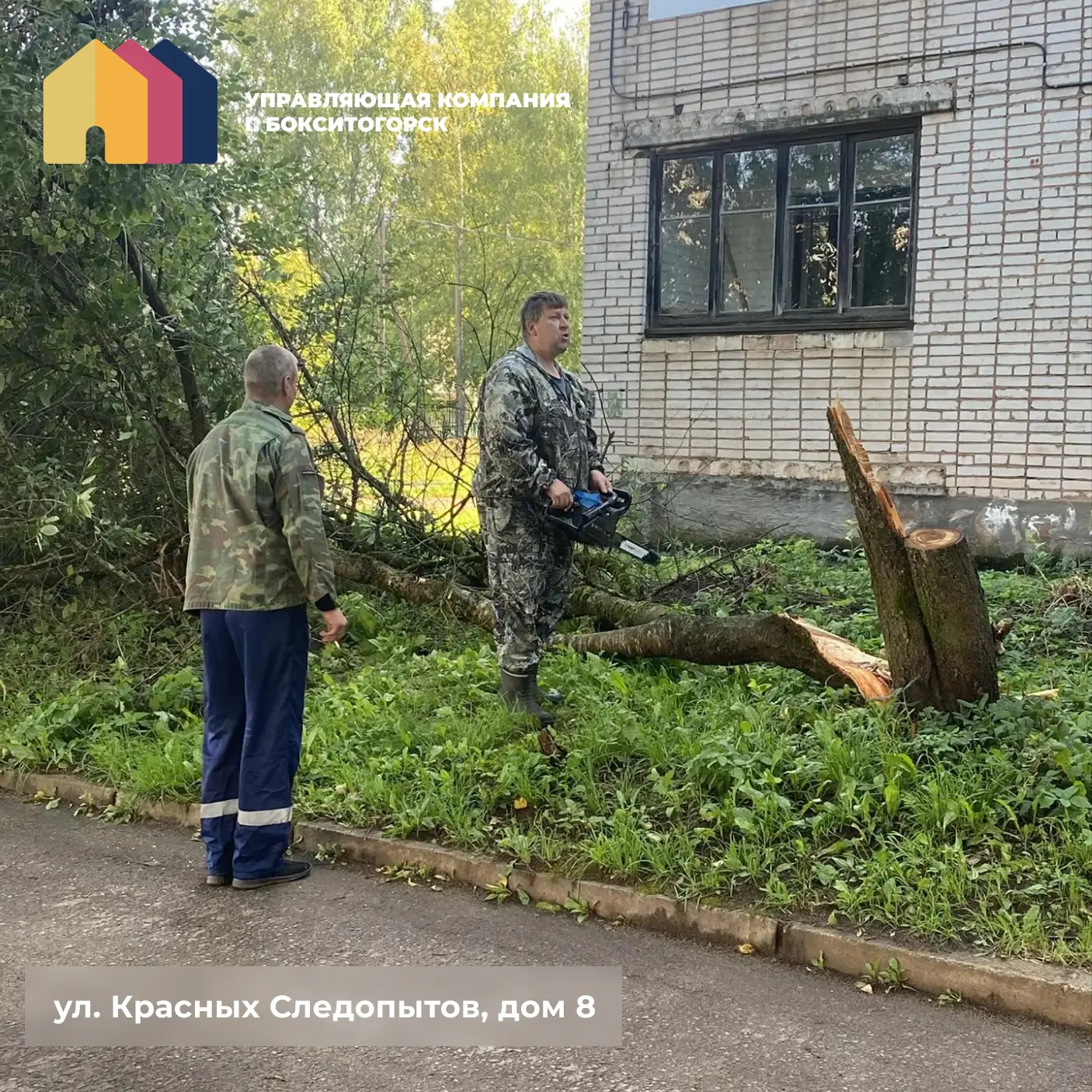 💨 Вчерашний ветер дал о себе знать… Но мы не сидим сложа руки!