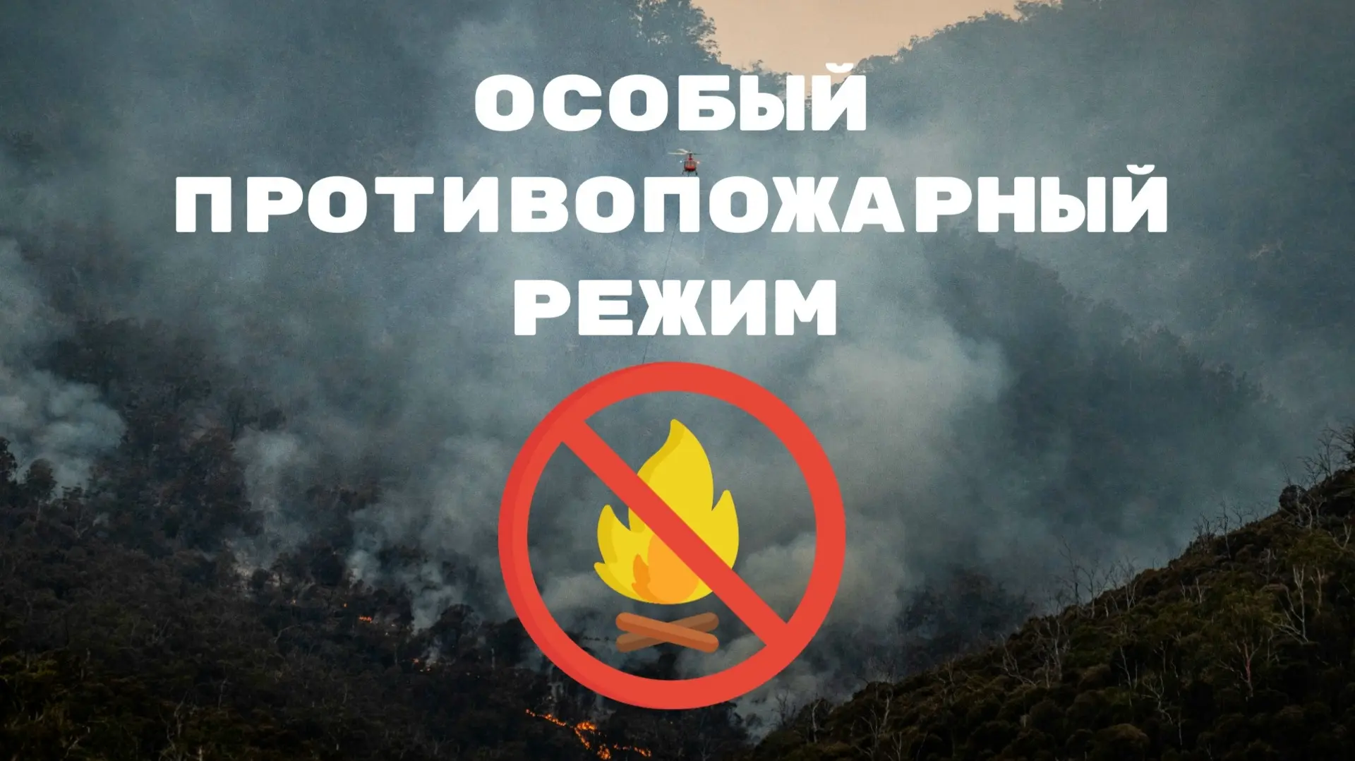 Особый противопожарный режим ввели в Петрозаводске