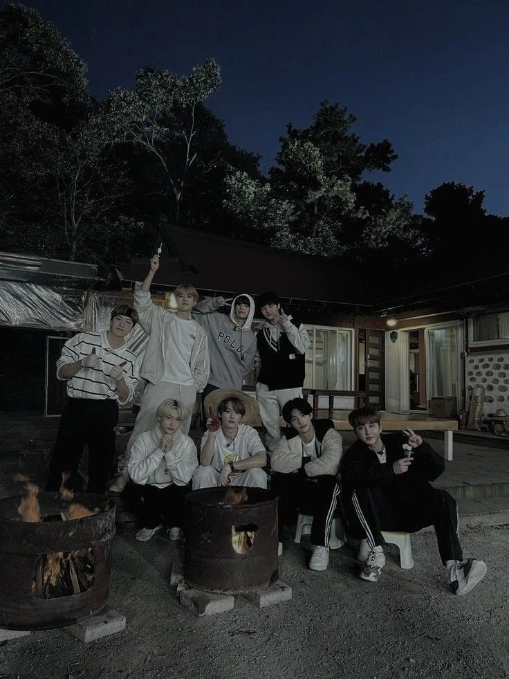 🕷🌱Stray kids🌱🕷