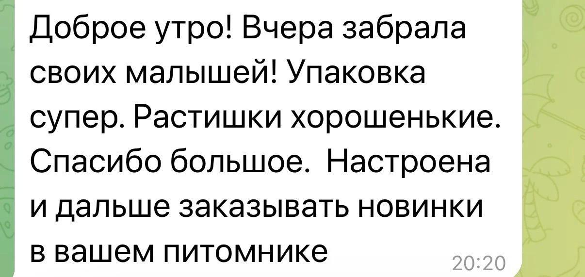 Ребята, благодарю вас за заказы и за обратную связь❤️
Впереди самая горячая пора по заказам, август 