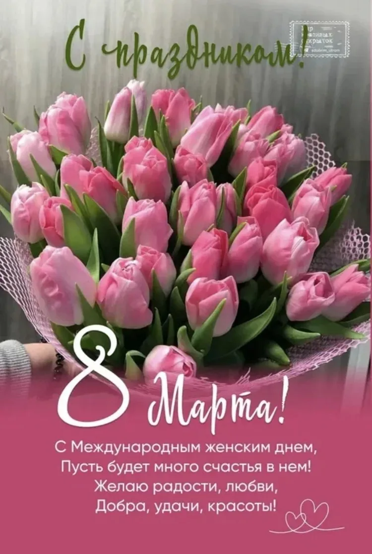 Милые женщины!