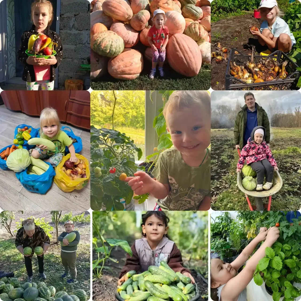 🍆🍓Итоги недели в детском саду «Колобок»: как мы урожай собирали!🍅🍏