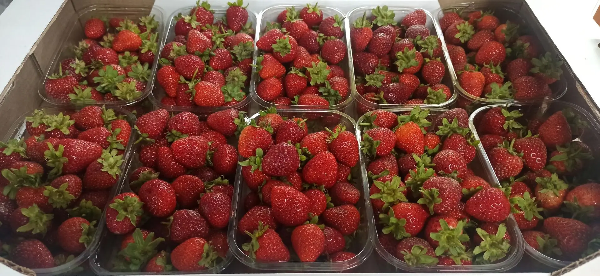 🍓 Клубнику получили, ожидаем Вас в нашем магазине.